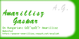 amarillisz gaspar business card